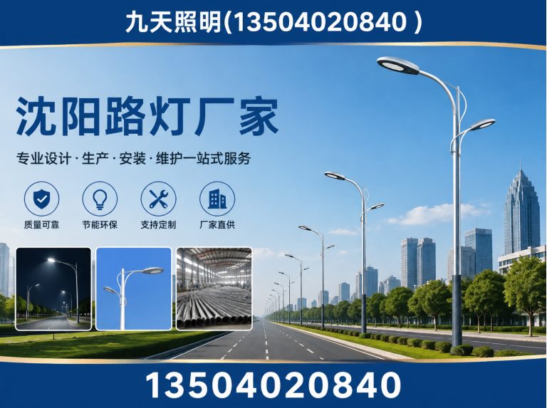 辽宁沈阳路灯厂家展示图